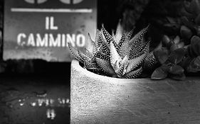 Il Cammino